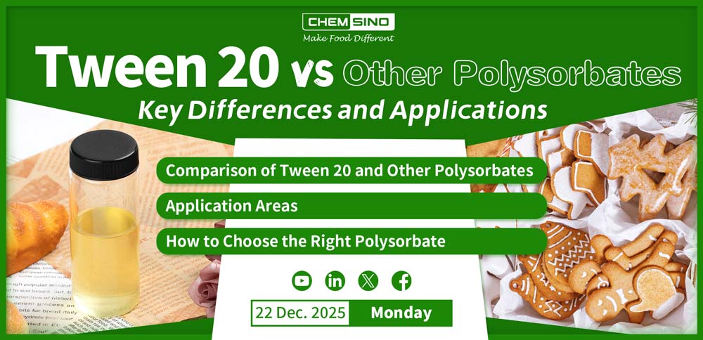 Tween 20 vs Other Polysorbates